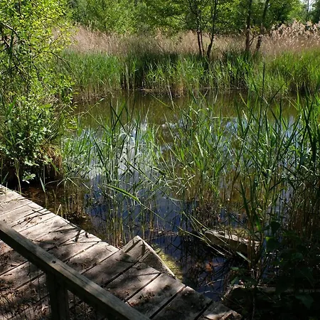Campsite Freihafen Mildenberg *